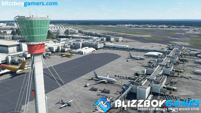 Microsoft Flight Simulator